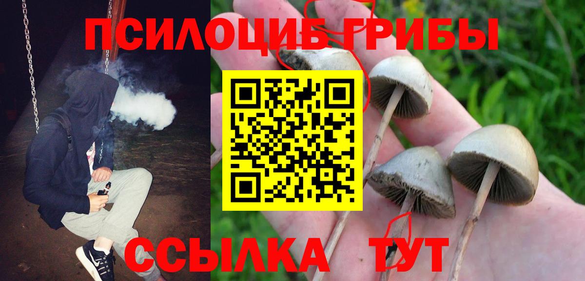 Галлюциногенные грибы Cubensis Орск