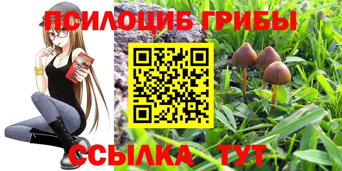 Орск  Псилоцибиновые грибы мицелий  Вход с VPN  Псилоцибиновые грибы прущие грибы 